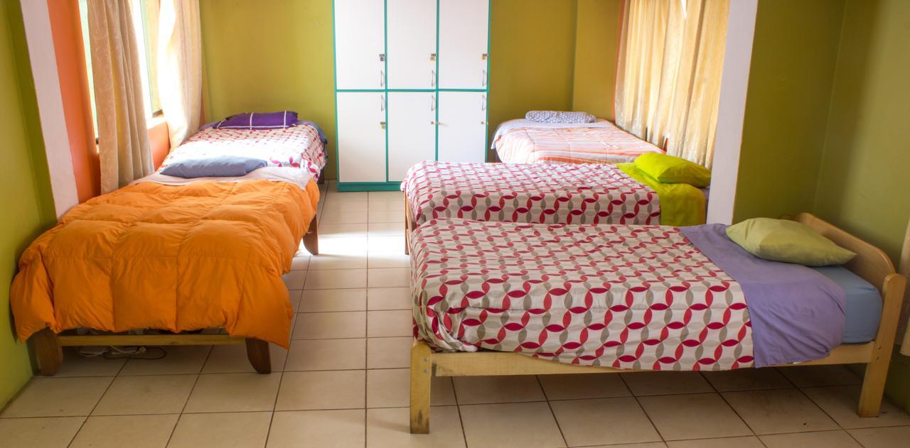 The Grasshopper Hostel Cusco Extérieur photo